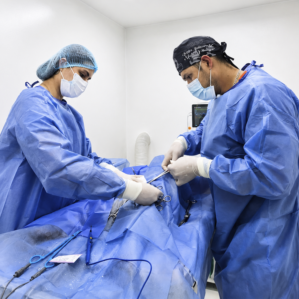 Cirugías veterinarias en MakroPet Rionegro