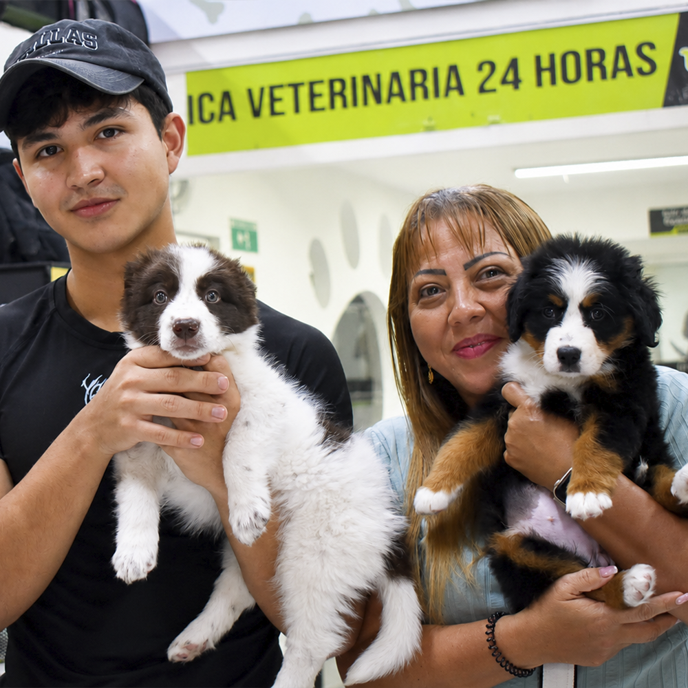 Urgencias veterinarias 24 horas en MakroPet Rionegro