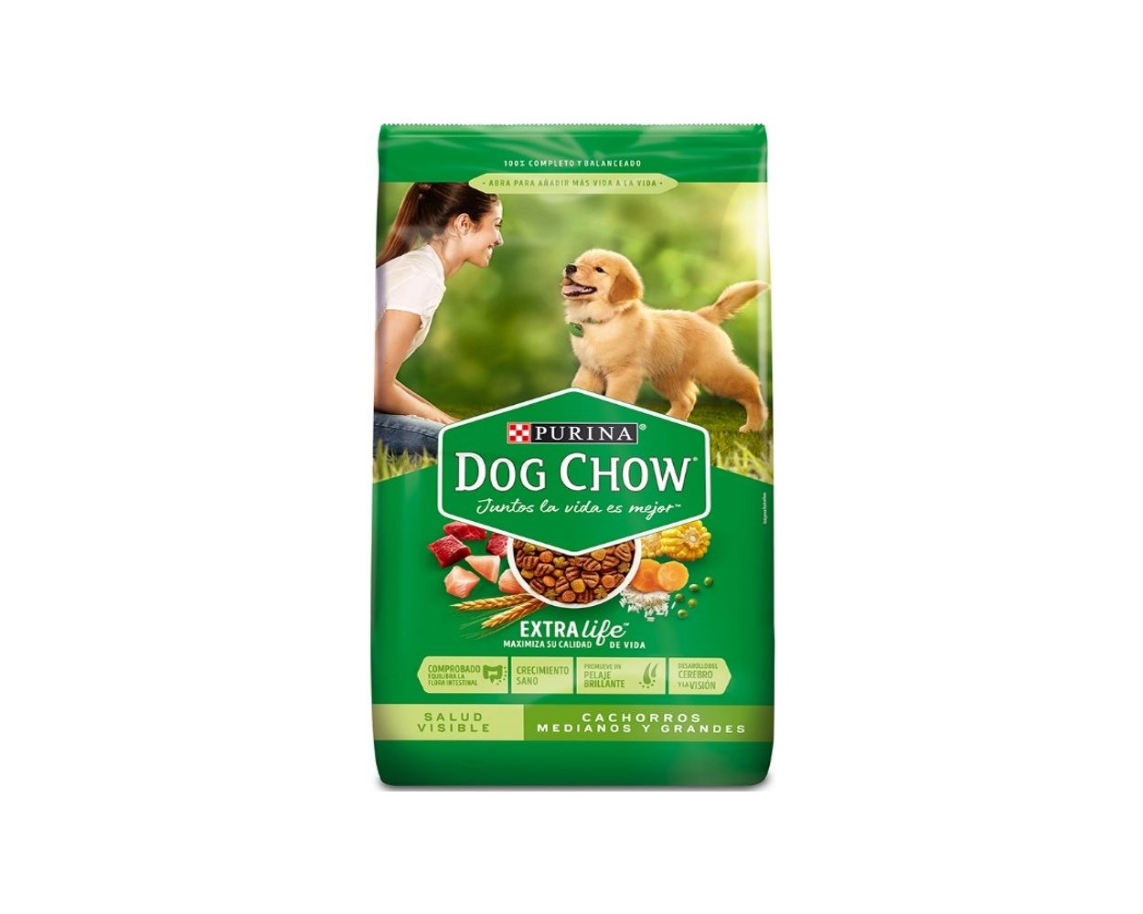 Dog Chow Cachorro Raza Mediana Y Grande 22,7 Kg
