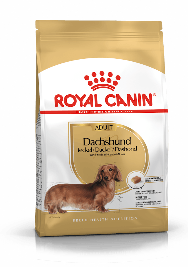 Alimento para perro Royal Canin Adult Dashshund Teckel 1.5kg