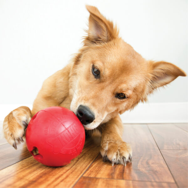 Pelota portapasabocas Small Kong - Imagen 2