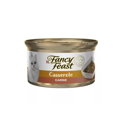 FANCY CARNE X 85G