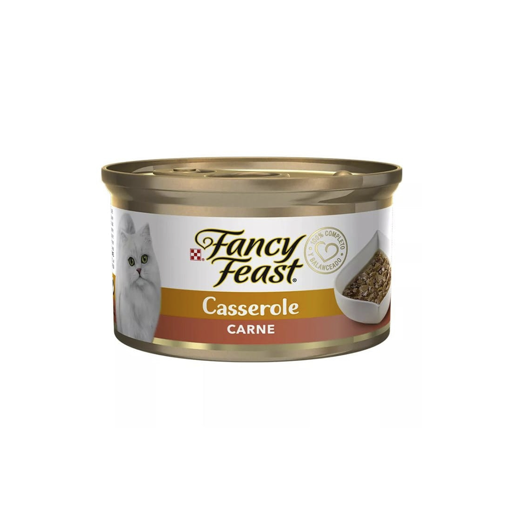 FANCY CARNE X 85G