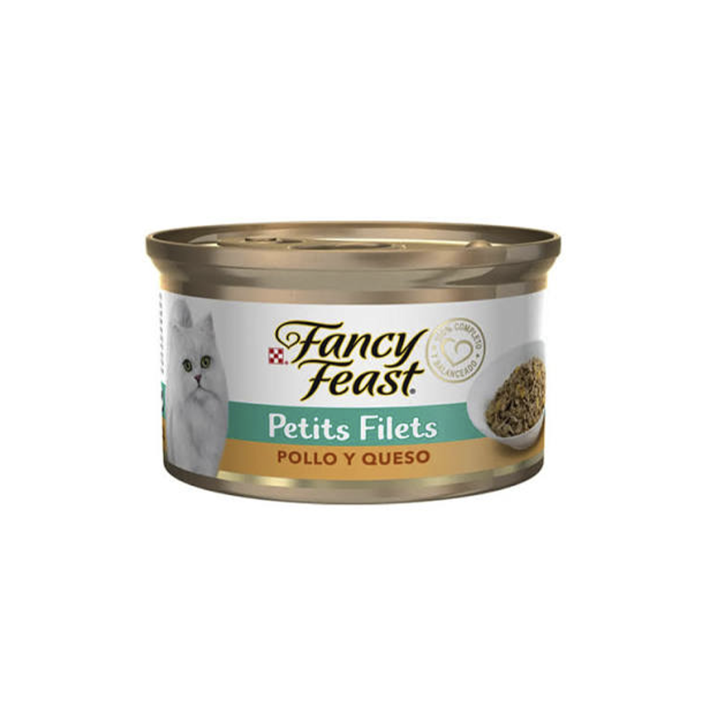 FANCY POLLO Y QUESO