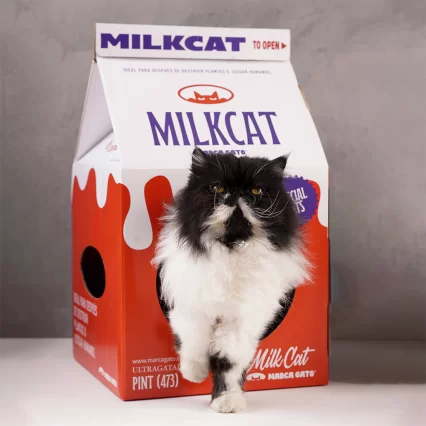 Caja de Leche