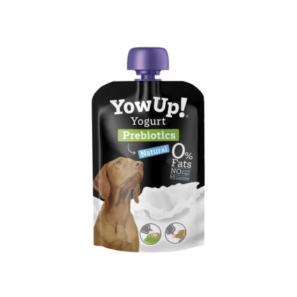 YOWUP YOGURT CON PROBIÓTICOS